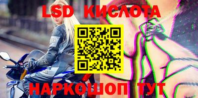 стафф Донецк
