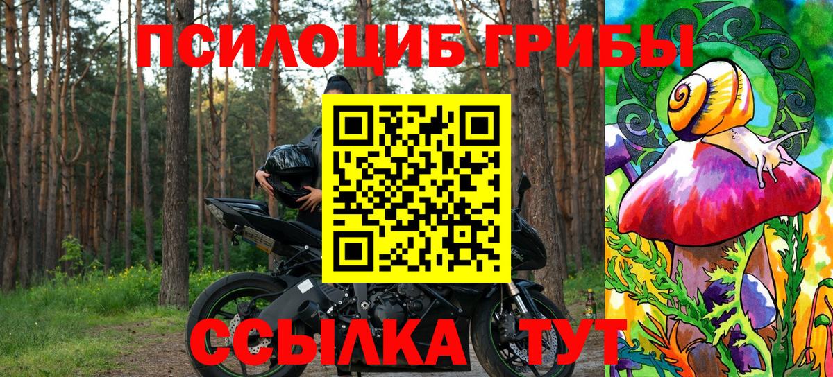 закладка  Вход с VPN  Менделеевск  Галлюциногенные грибы прущие грибы 