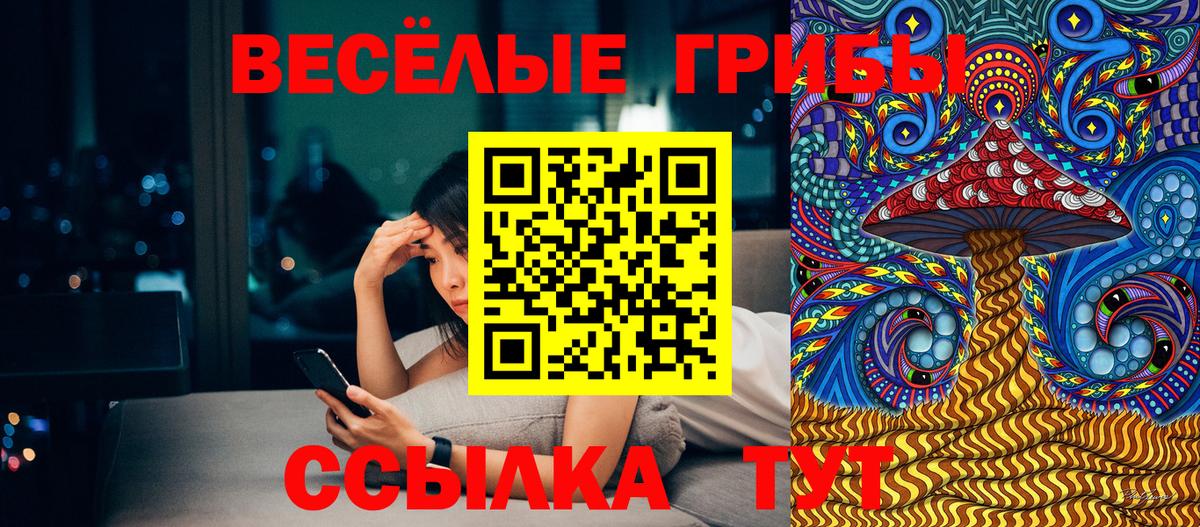 Галлюциногенные грибы мухоморы Менделеевск